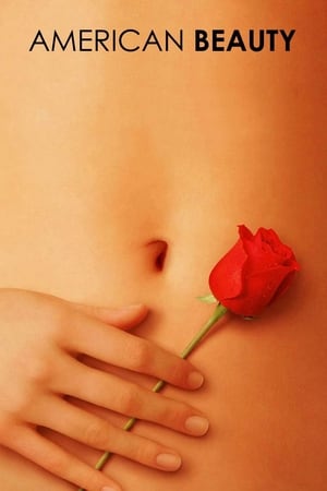 American Beauty 1999 Hindi Dual Audio WEB-DL 1080p - 720p - 480p - Movierulz
