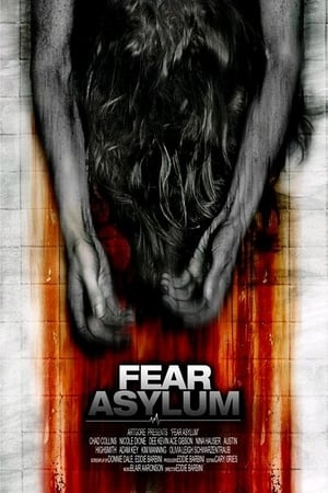 Room 33 (2009) Hindi Dual Audio 720p DVDRip [770MB] - Movierulz