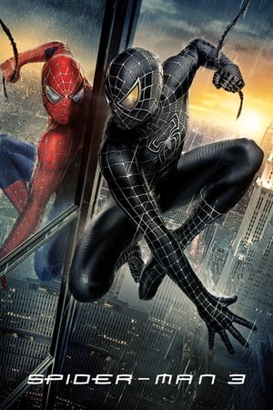 Spider-Man 3 (2007) Movie Hindi Dual Audio 720p Bluray [800MB] - Movierulz